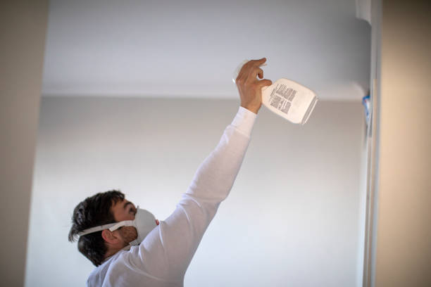 Best Mold Inspection  in Shreveport, LA